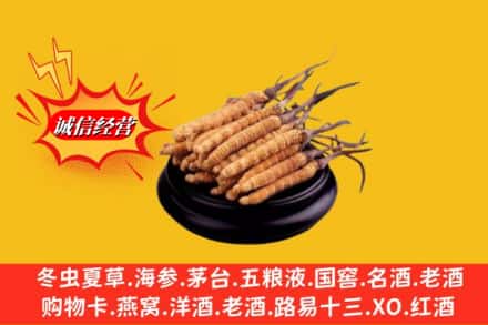 石河子市胡杨河名酒回收冬虫夏草.jpg